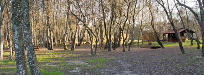 parque-de-merendas-de-casal-dos-bernardos-caminhos-de-f-tima